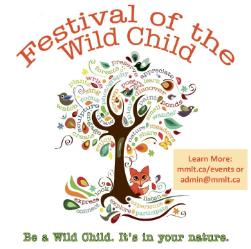 Featured image for Festival of the Wild Child